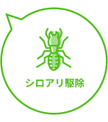 シロアリ駆除